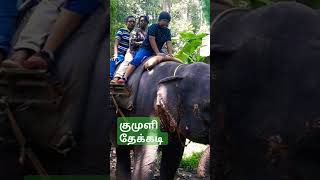 thekkady elephant elephantride travel travellersdiary traveling shorts trending viralvideos [upl. by Leilani]