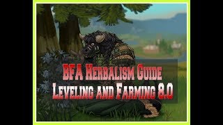 Herbalism BFA Guide  Make One Million Gold in one week [upl. by Bondy]