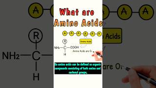 what are Amino Acids aminoacid aminoacids12 proteinstructure chemistry shortvideo shorts [upl. by Ymiaj]