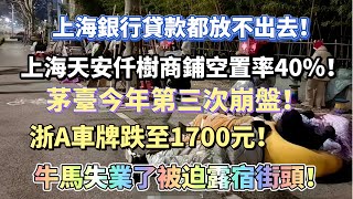 上海銀行貸款都放不出去！上海天安仟樹商鋪空置率40！茅臺今年第三次崩盤！浙A車牌跌至1700元！牛馬失業了被迫露宿街頭！上海變的蕭條！985 211找不到工作。大陸經濟 大蕭條 中國 上海 [upl. by Barbuto]