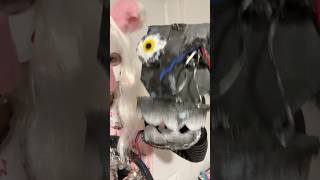 Mangle cosplay transition cosplay fnaf fnafcosplay manglefnaf [upl. by Mortimer]