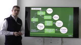 Choosing Maize Herbicides Syngenta Early Season Weed Control [upl. by Lesko368]