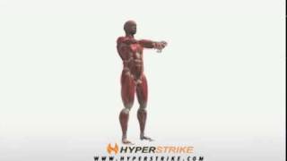 Exercise Videos Forearm Extensor Stretch [upl. by Cayser843]