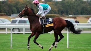 Frankel  The Wonder Horse All 14 Wins [upl. by Silrac]