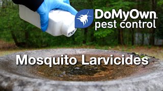 Benefits of Mosquito Larvicides  DoMyOwncom [upl. by Laurentium]