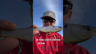 The BEST Beginner Glide Bait On The Market [upl. by Sorce]