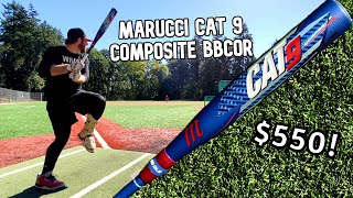 Hitting with the MARUCCI CAT 9 COMPOSITE BBCOR  2022 Baseball Bat Review [upl. by Vilberg92]