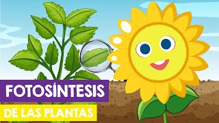 La FOTOSINTESIS DE LAS PLANTAS para niños  La FOTOSINTESIS para niños 🌻🍀 [upl. by Halpern913]