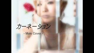 【MaleCover】 カーネーション  椎名林檎 [upl. by Colvin]