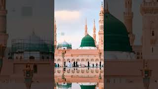 Madina sharif status trendingshorts viralshortsyoutubeshorts [upl. by Norre188]