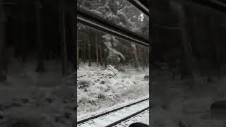 Walzerfahrt durch den Thüringer Wald mit der Waldbahn🎼🎧🤣🚍🚎🚊🚉🚈 [upl. by Jeroma]