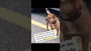 Dog finna snitch😂 method hood chase atlanta sauce trendingshorts [upl. by Mercy408]