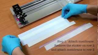 Rapid Test Immunoassay Membrane tutorial [upl. by Castro621]