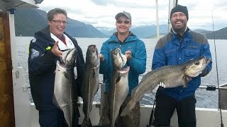 Fishing coalfish in the Romsdalsfjord [upl. by Yenaj]