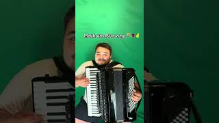 Ein Stern der deinen Namen trägt  Ziggi Accordion Cover [upl. by Smiga]