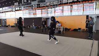 HEMA Hits Compilation Longsword Saber SwordampBuckler [upl. by Pol]