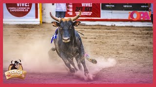 EnVivo Esto si es tradición Toros🐂 en Zapote Con ¡OPA Recordá sintonizarnos por ¡OPA Canal38📺 [upl. by Lelia559]