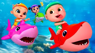 Baby Shark Dance Compilation  Kids Songs and Nursery Rhymes  Baby SumoCoco [upl. by Lorou]