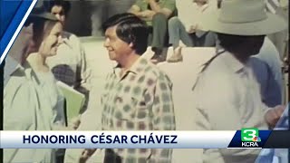 César Chávez Day Farmworkers announce they will retrace historic 1966 march [upl. by Brynn]