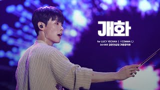 241005 경춘선숲길 가을음악회 개화  루시LUCY ｜ 신예찬 직캠 YECHAN FOCUS [upl. by Czarra249]