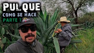 quotEl Arte Secreto de Quebrar el Maguey para Hacer Pulque Guía Completa  Parte 1quot [upl. by Turk891]