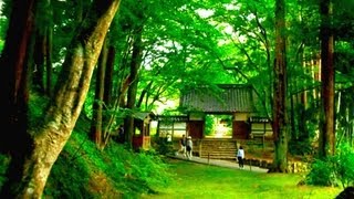 日本の風景 美しい平泉 ♪ 世界文化遺産 中尊寺全貌のご案内 [upl. by Utter617]