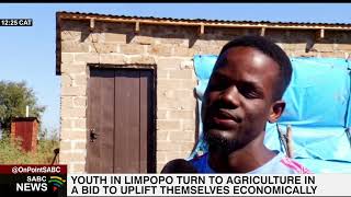 Limpopo youth adopt agriculture for economic upliftment [upl. by Margeaux157]