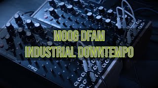 Moog DFAM industrial downtempo [upl. by Maddock352]