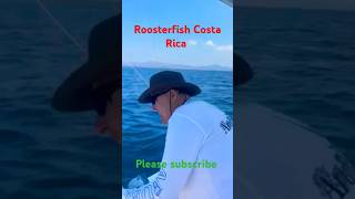 Catching Trophy Roosterfish in Costa Rica roosterfish costarica [upl. by Arahsat]