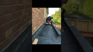 Installing felt upstands ready for skylight from brandonroofingltd 🔥 [upl. by Niwled]