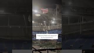 Tropicana Field roof ripped off by Milton [upl. by Giglio]