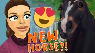 NEW Percheron Horse  SPOILER  Star Stable Online [upl. by Musetta]