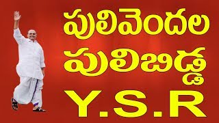 Pulivendula Pulibidda  YSRajasekhara Reddy  Special YSR Song  Jayasindoor Entertainment Songs [upl. by Ahsekin]