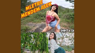 Mletre Mendem Asek Remix [upl. by Aidahs]