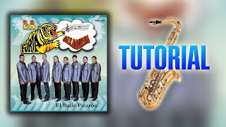 TUTORIAL TOCO EL SAX  La Furia Oaxaqueña SAXOFÓN ALTO [upl. by Dennie670]