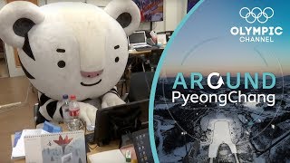 Being Soohorang the Mascot of the Winter Olympics  Around PyeongChang [upl. by Navaj378]