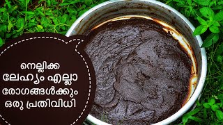 Gooseberry Lehyam  കുട്ടികൾക്കും മുതിർന്നവർക്കും ആരോഗ്യത്തിന്  മുടിക്ക് അത്യുത്തമം [upl. by Enelram]