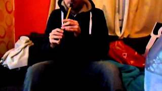 DonnyBrook Fair  Tin Whistle [upl. by Pryce]