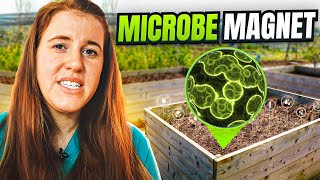 How to make mycorrhizal fungi for plantsFast efficient way for  2 [upl. by Tedder137]