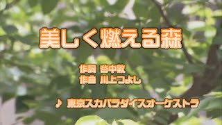 カラオケJOYSOUND カバー 美しく燃える森  東京スカパラダイスオーケストラ （原曲key） 歌ってみた [upl. by Aniale]