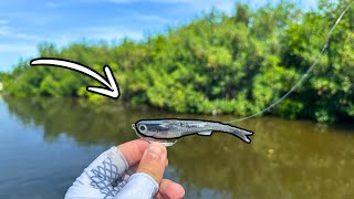 I hooked a BIG fish on the NLBN Mini Mullet sight fishing big redfish and snook [upl. by Aerdno333]