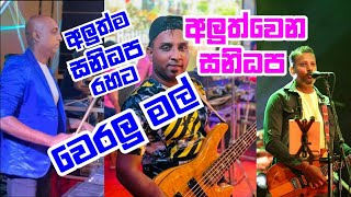 Sanidapa 2023 New hits song සනිධප වෙරලු මල් veralu mal PILIMATHALAWA [upl. by Shem]