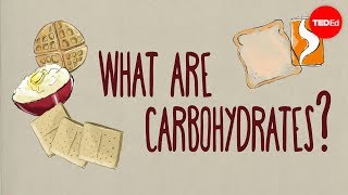 How do carbohydrates impact your health  Richard J Wood [upl. by Esta919]