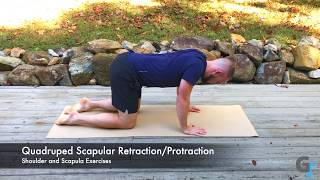 Quadruped Scapular Retraction and Protraction  Exercise Demonstration [upl. by Irmina]