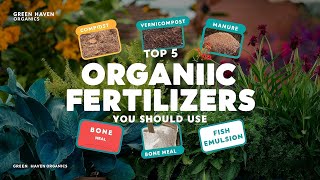 Top 5 Organic Fertilizers You Should Use and easy to make [upl. by Ettenay]