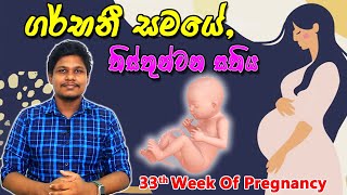 Pregnancy 33th Week  Sinhala Medical Review  අම්මයි බබයි [upl. by Yorle]