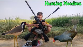 Air gun Hunting Gamo swarm 10x VS Artemis sr1000s hunting water bird MZ Birds Hunting [upl. by Gloriana]