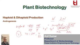 Production of haploids and dihaploids [upl. by Noman]