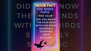 quotThe Birds 1963 Ending Explained What Stopped the Attacksquot shorts thebirds didyouknowmovie [upl. by Ody]