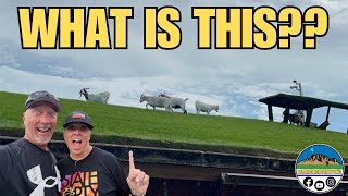 WHAT IS THAT  Door County  Living this FullTime RV Life  EP84 [upl. by Leseil]